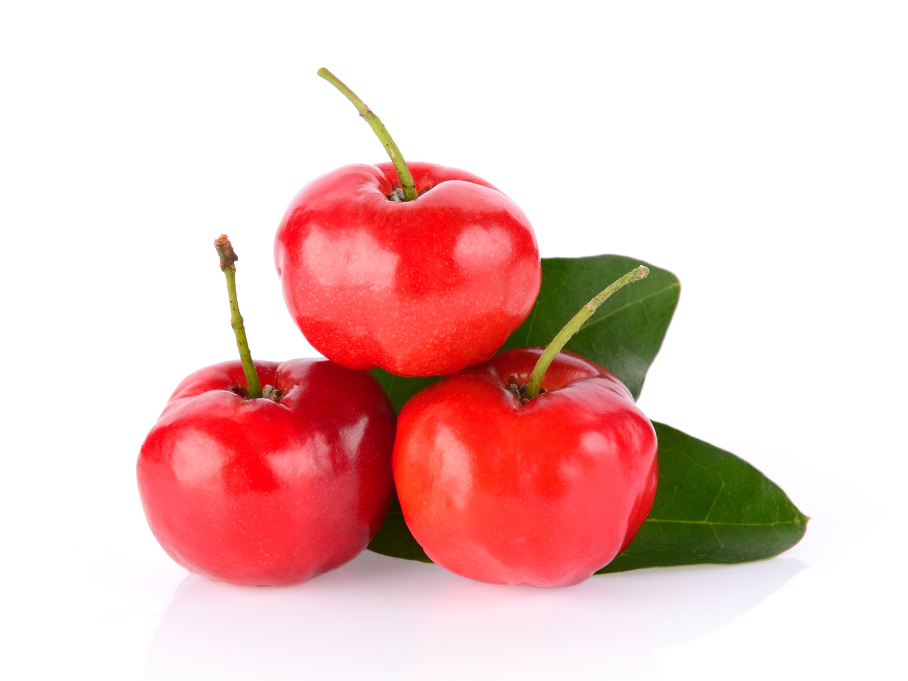Acerola, västindisk körsbär (Malpighia emarginata), mot vit bakgrund