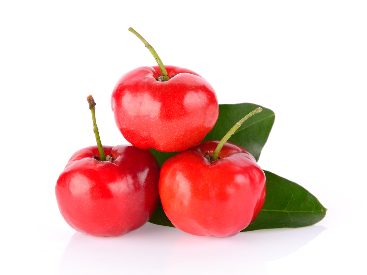 Acerola, västindisk körsbär (Malpighia emarginata), mot vit bakgrund