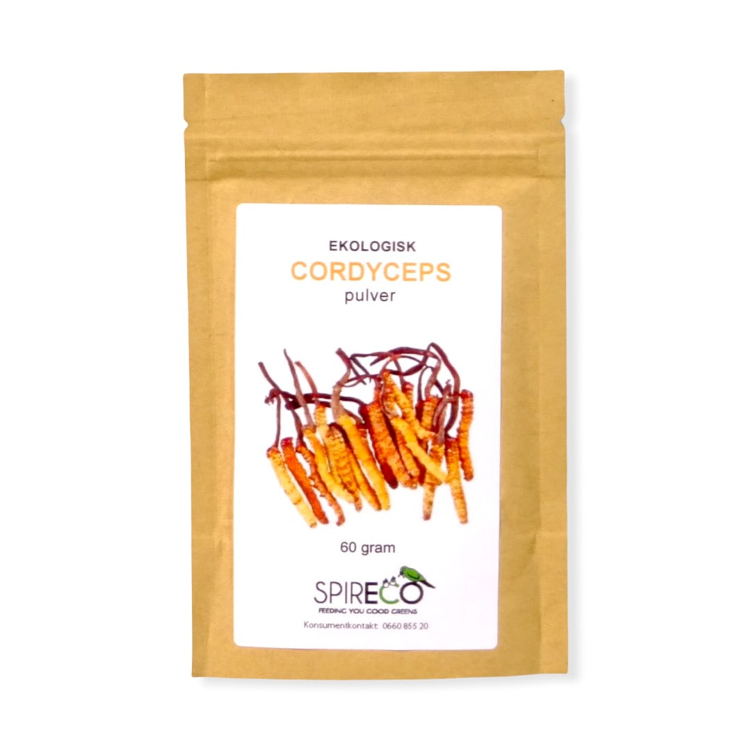 Cordycepspulver