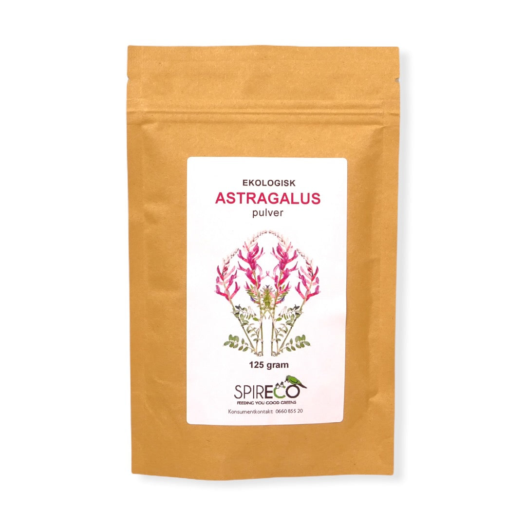 Astragalus Pulver Ekologiskt 125g - Spireco